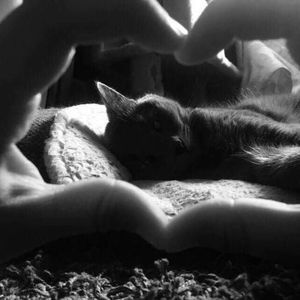 Meet your Posher, Phoebe